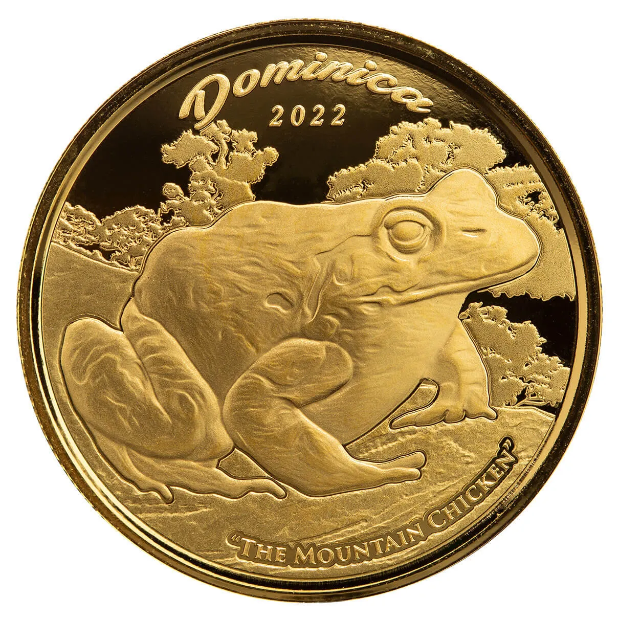 Pdt Image Thumbnail