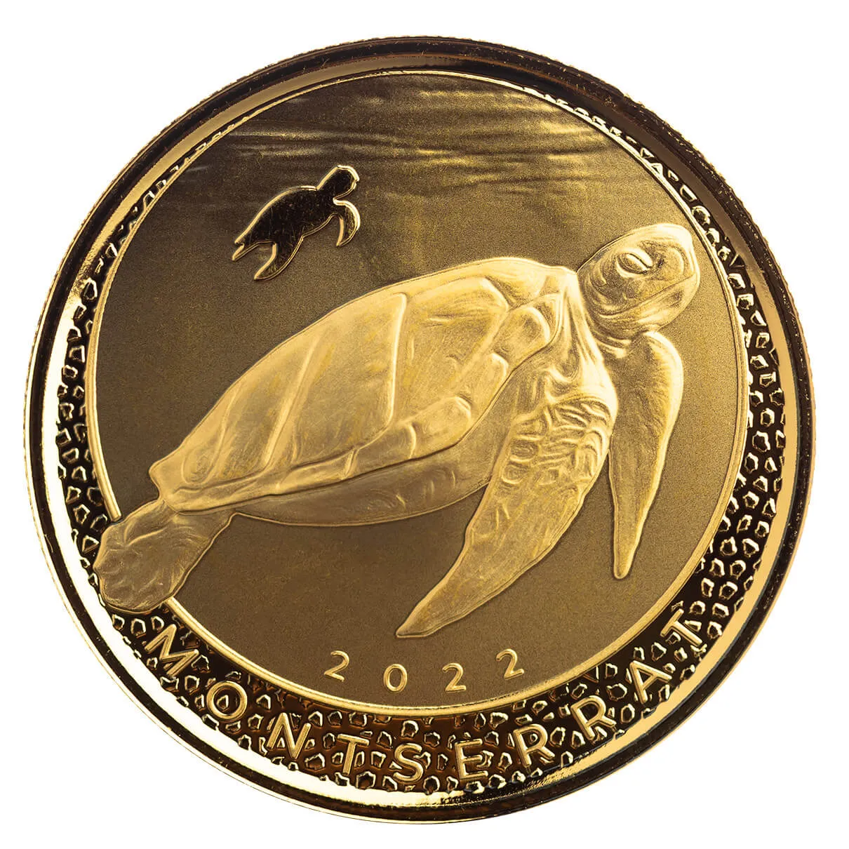Pdt Image Thumbnail