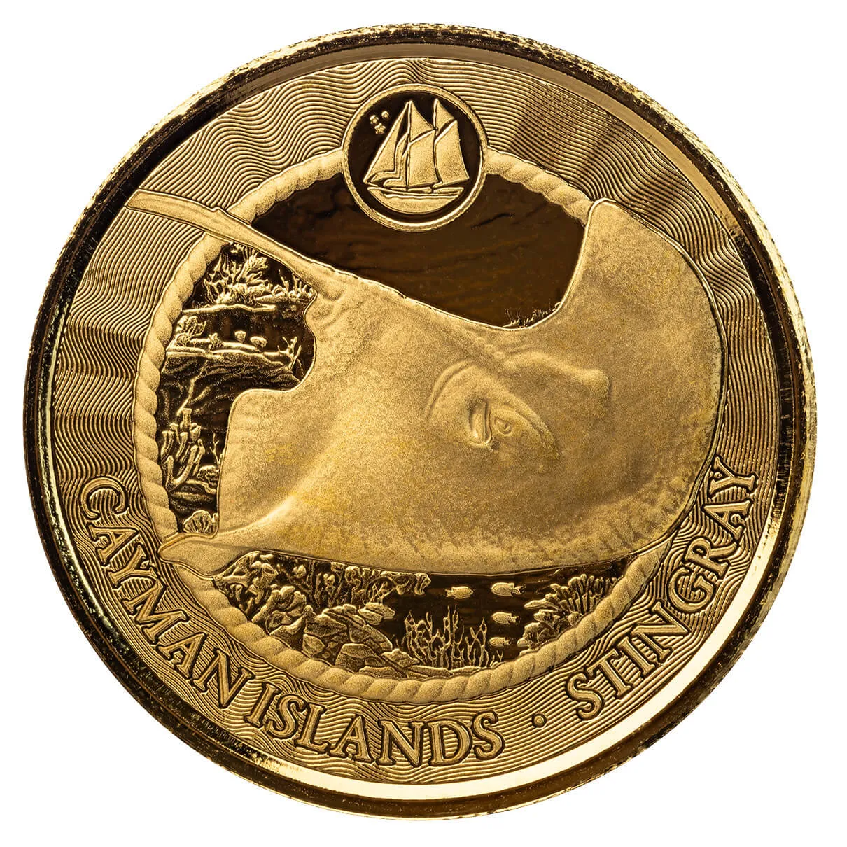 Pdt Image Thumbnail